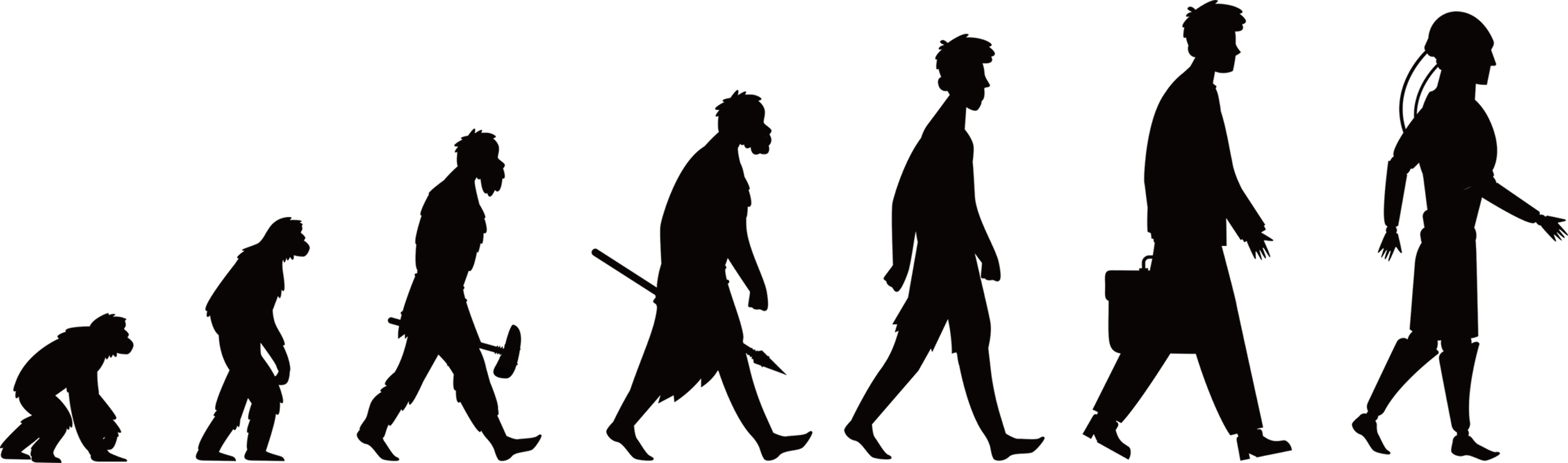 Human Evolution Illustration